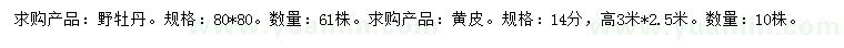 求購(gòu)80*80公分野牡丹、14公分黃皮