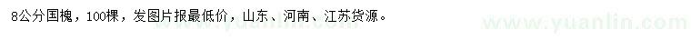 求購8公分國槐