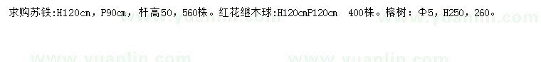 求購蘇鐵、紅花繼木球、榕樹