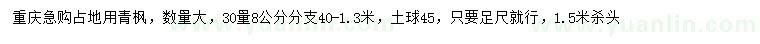 求購(gòu)30量8公分青楓