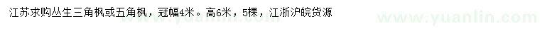 求購高6米叢生三角楓或五角楓