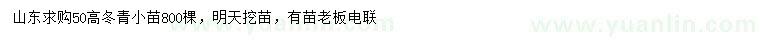 求購高50公分冬青小苗