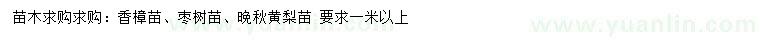 求購(gòu)香樟苗、棗樹(shù)苗、晚秋黃梨苗