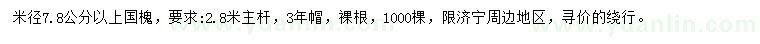 求購(gòu)米徑7.8公分以上國(guó)槐
