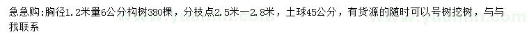 求購胸徑1.2米量6公分構(gòu)樹
