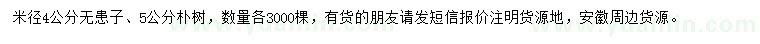 求購米徑4公分無患子、5公分樸樹