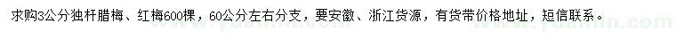 求購3公分獨(dú)桿臘梅、紅梅