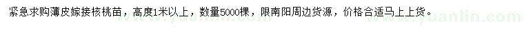 求購高1米以上薄皮嫁接核桃苗
