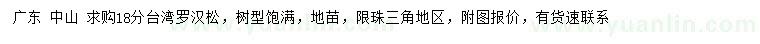 求購18公分臺灣羅漢松