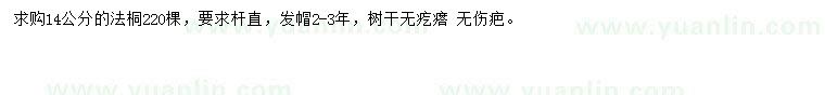 求購14公分法桐