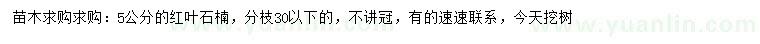 求購(gòu)5公分紅葉石楠