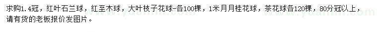 求購紅葉石蘭球、紅至木球、大葉枝子花球等