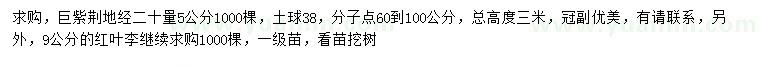 求購地徑20量5公分巨紫荊、9公分紅葉李