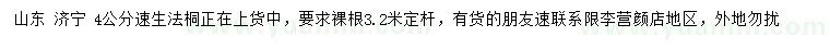 求購4公分速生法桐