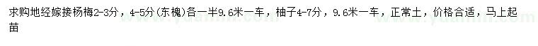 求購(gòu)楊梅、東槐、柚子