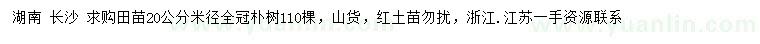 求購米徑20公分樸樹