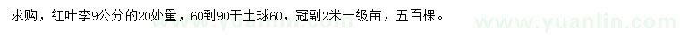 求購20處量公分9紅葉李