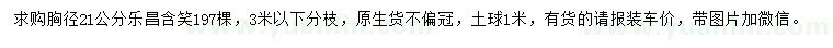 求購胸徑21公分樂昌含笑