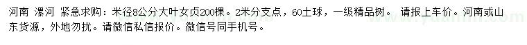 求購米徑8公分大葉女貞
