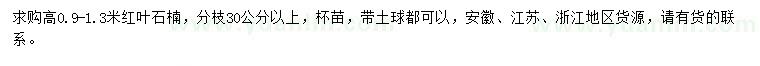 求購高0.9-1.3米紅葉石楠