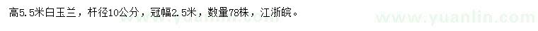 求購高5.5米白玉蘭