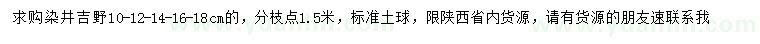 求購10、12、14、16、18公分染井吉野櫻