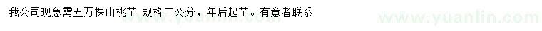求購2公分山桃苗
