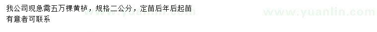 求購2公分黃櫨苗