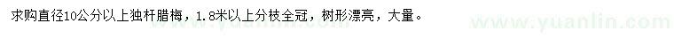 求購10公分以上獨(dú)桿臘梅