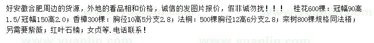 求購桂花、香樟、法桐等
