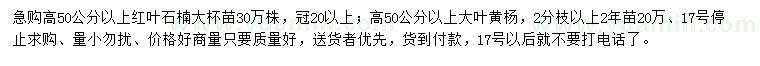 求購高50公分以上紅葉石楠、大葉黃楊