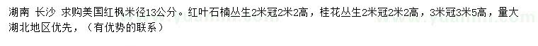 求購(gòu)美國(guó)紅楓、紅葉石楠、桂花等