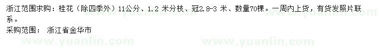 求購11公分桂花（除四季外）