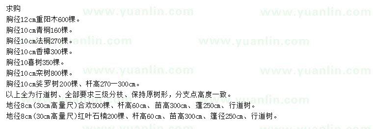 求購重陽木、青桐、法桐等