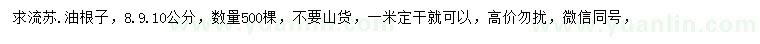 求購8-10公分流蘇