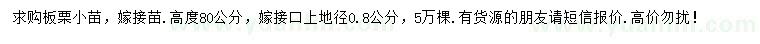 求購地徑0.8公分板栗苗