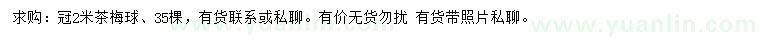 求購冠2米茶梅球