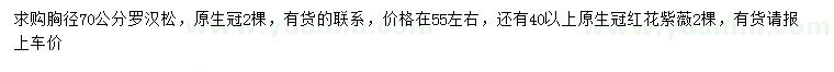 求購胸徑70公分羅漢松