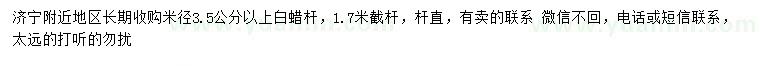 求購米徑3.5公分以上白蠟桿