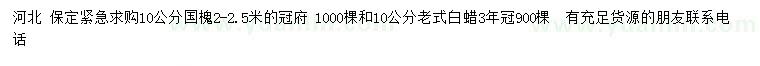 求購10公分國槐、老式白蠟