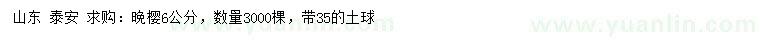 求購6公分晚櫻