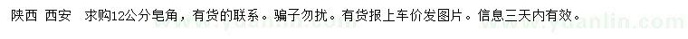 求購12公分皂角