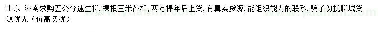求購5公分速生柳