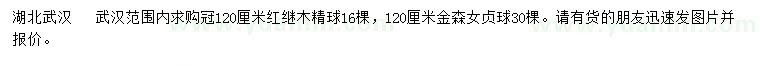 求購120公分紅繼木精球、金森女貞球