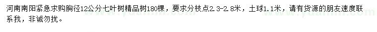 求購胸徑12公分七葉樹