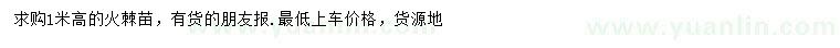 求購高1米火棘苗