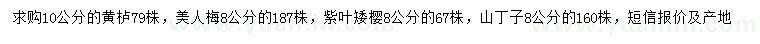 求購黃櫨、美人梅、紫葉矮櫻等