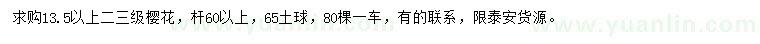 求購13.5公分以上櫻花