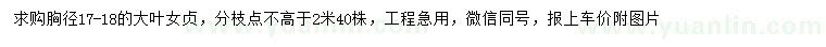 求購胸徑17-18公分大葉女貞