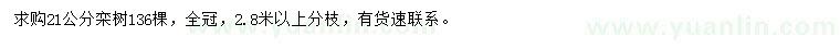 求購21公分欒樹